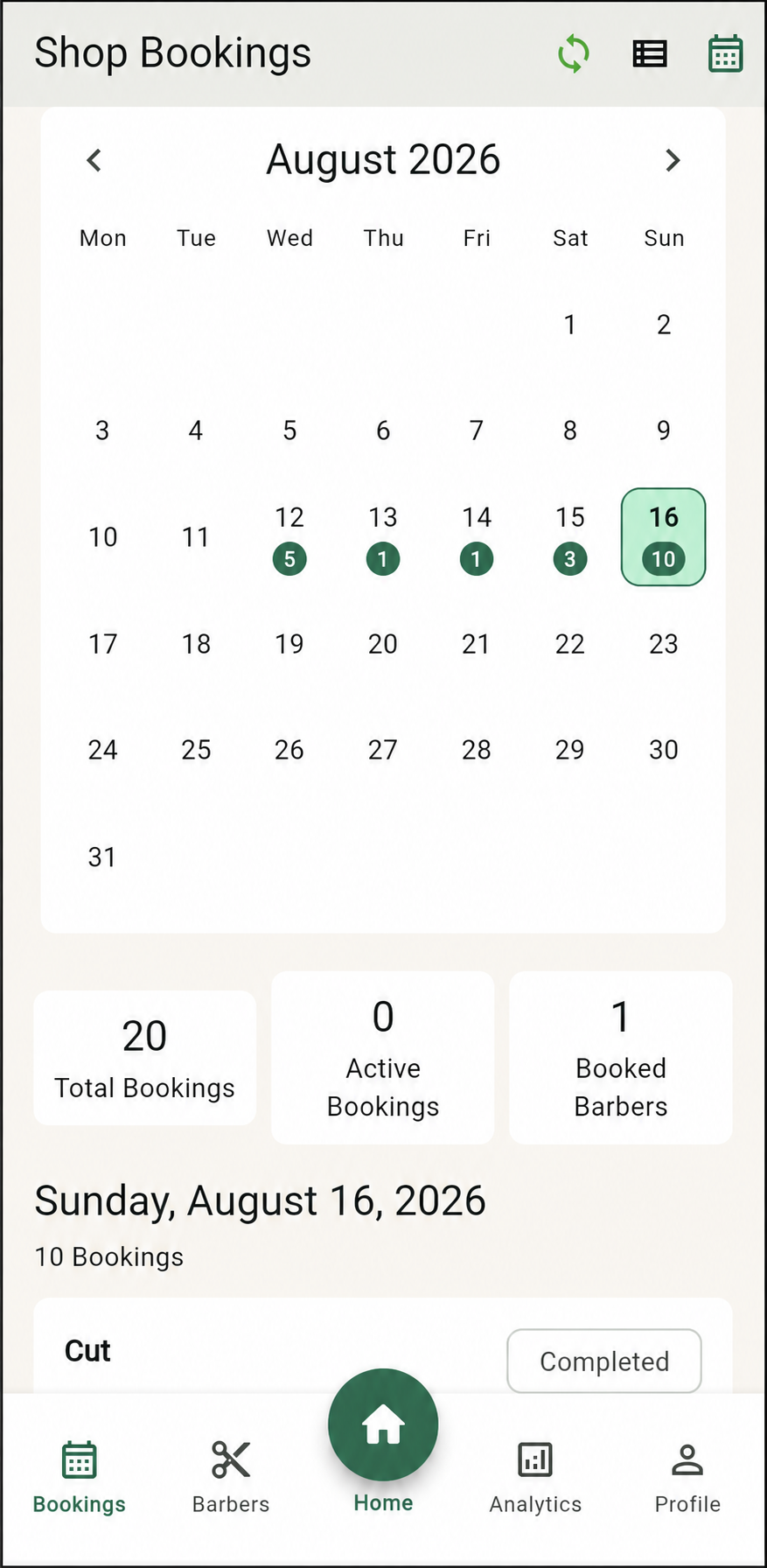 Salony owner booking calendar showing scheduled bookings